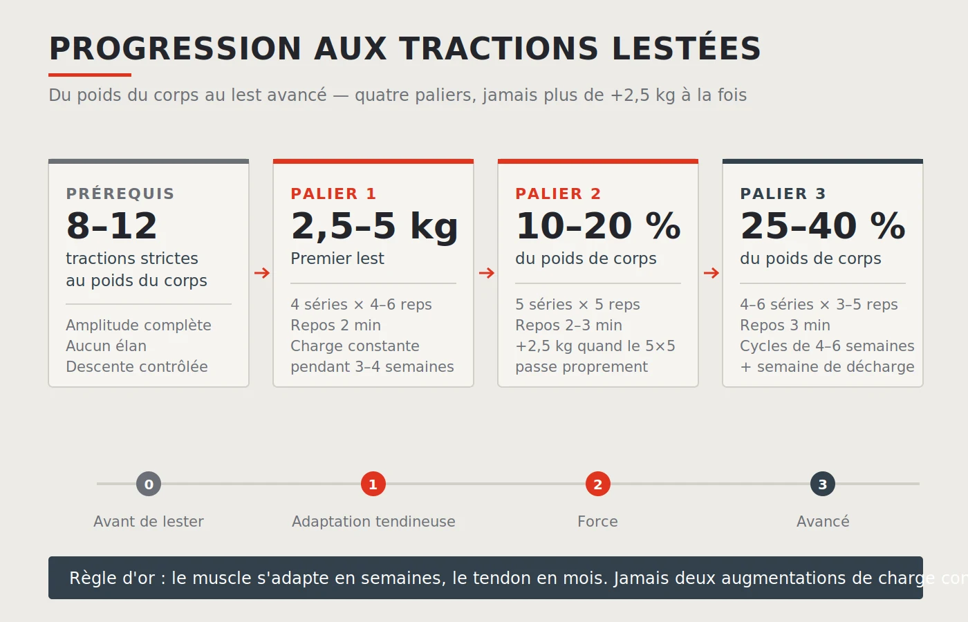 Progression aux tractions lestées, débutant à avancé : quatre paliers de charge du poids du corps jusqu'à 40 % du poids de corps