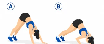 Pike push up : guide complet avec progression(technique, muscles, variantes)
