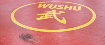 Wushu : le guide complet pour comprendre et débuter ce sport de combat