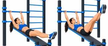 Relevé de jambes banc incliné : technique, muscles et programme débutant