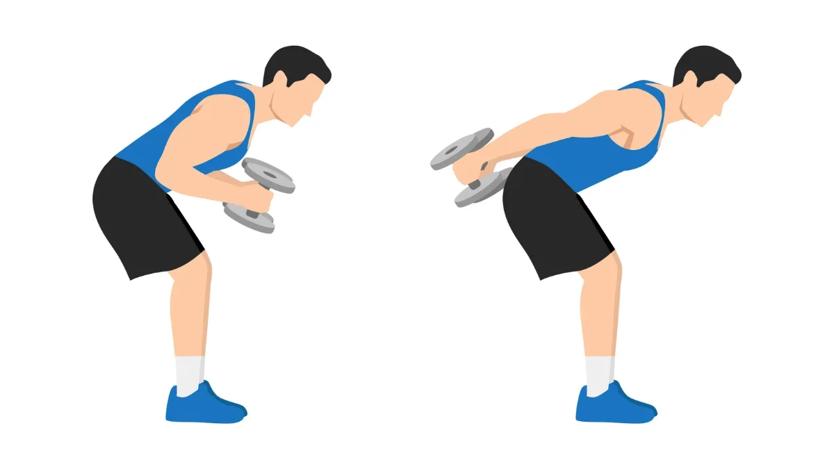 Illustration du kickback des triceps à deux bras, buste penché en avant, avec haltères