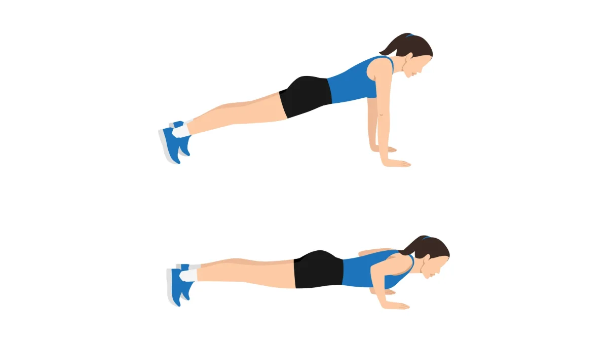 Illustration des deux positions d'une pompe : bras tendus puis poitrine proche du sol